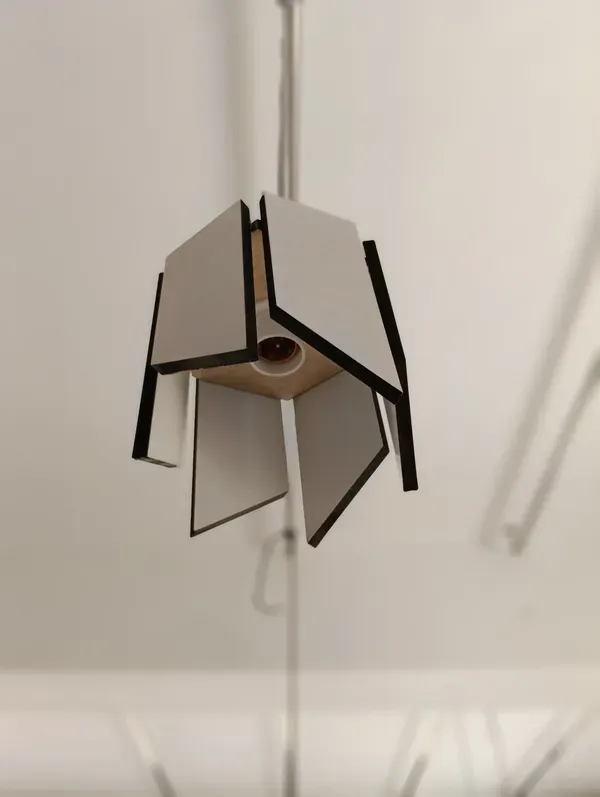 Hexagon Tulip view 3